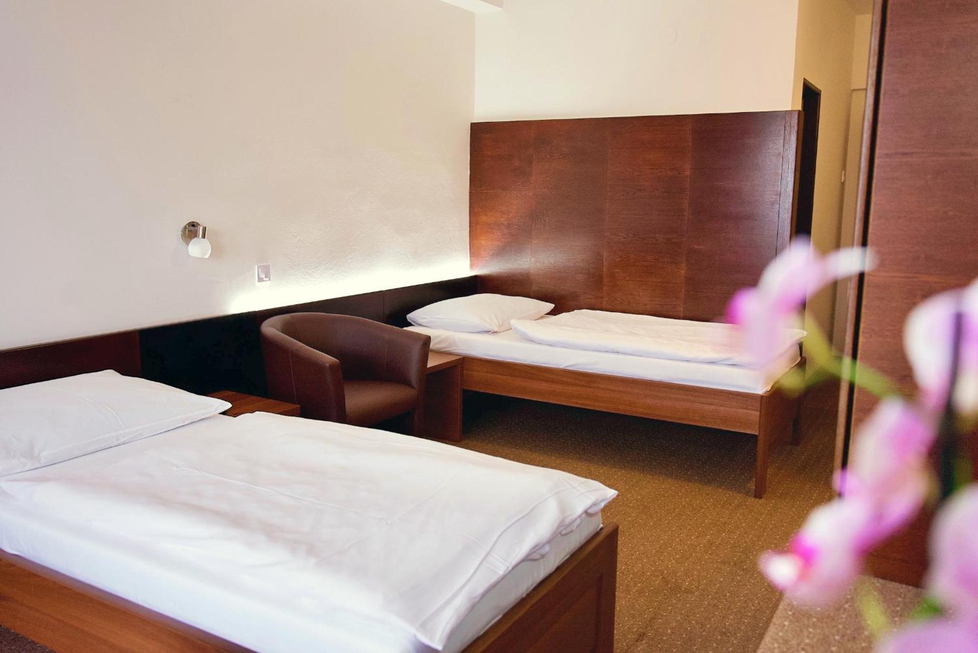 Hotel Merkur -